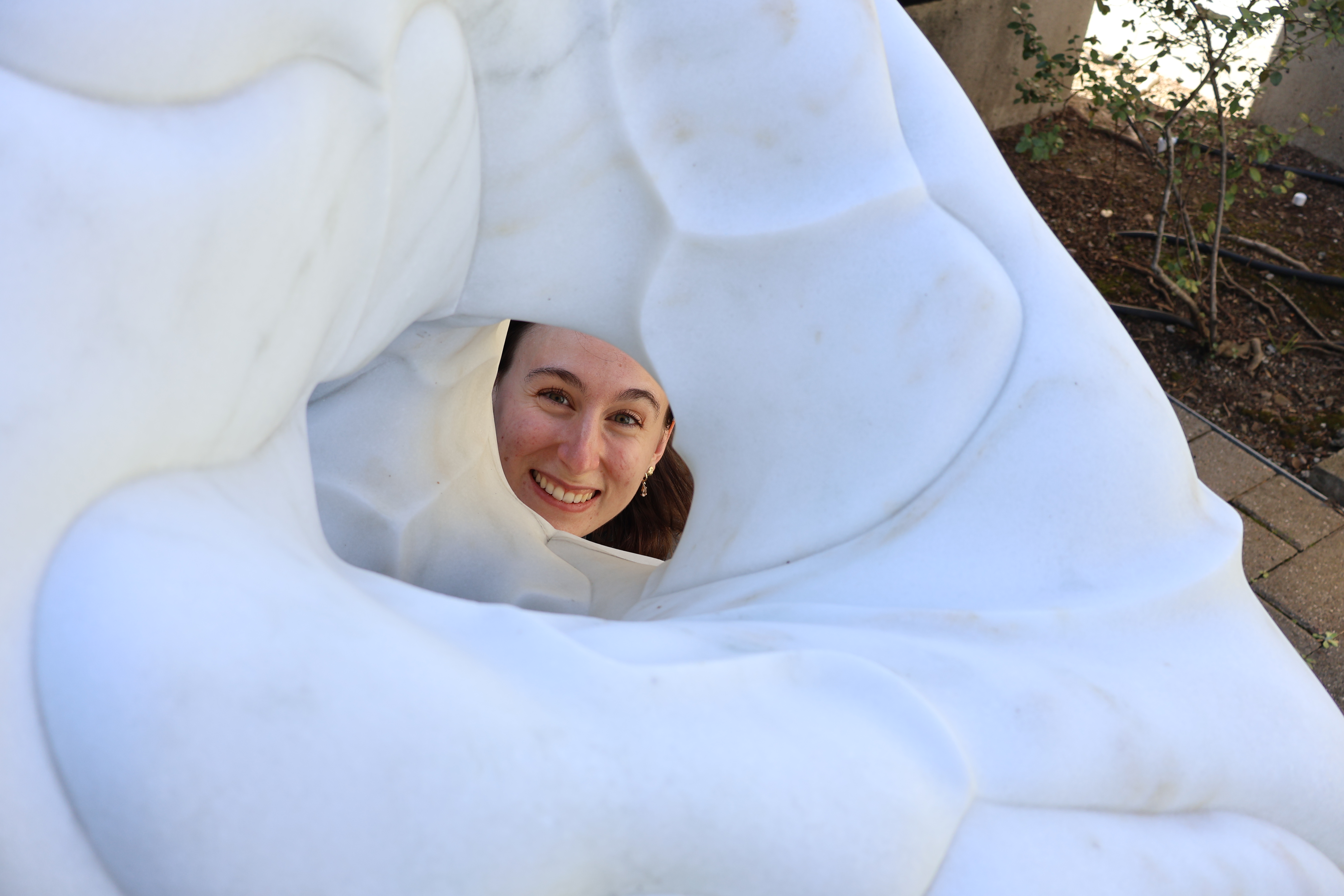 inside the klein quartic