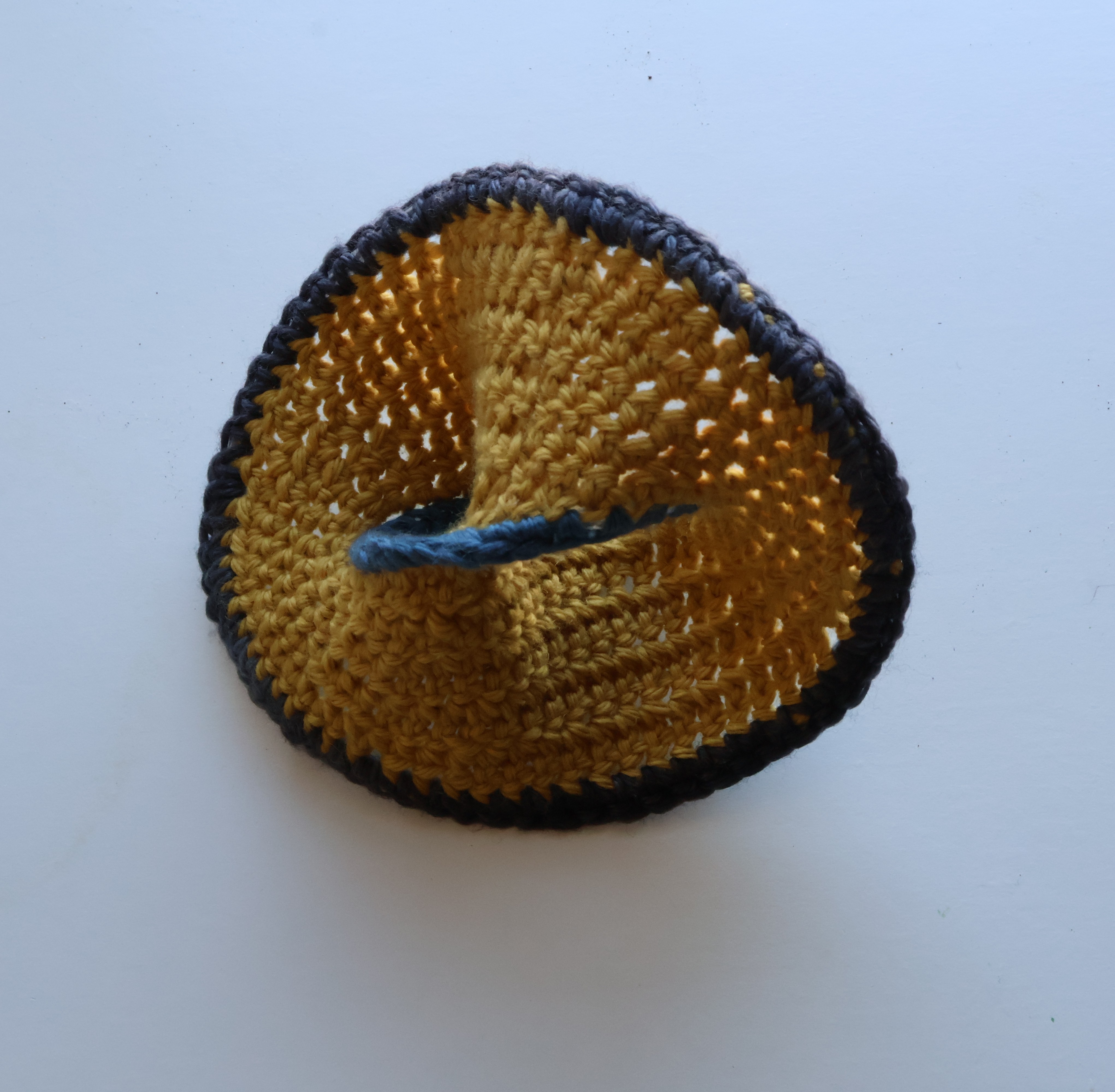 a once-punctured mobius band