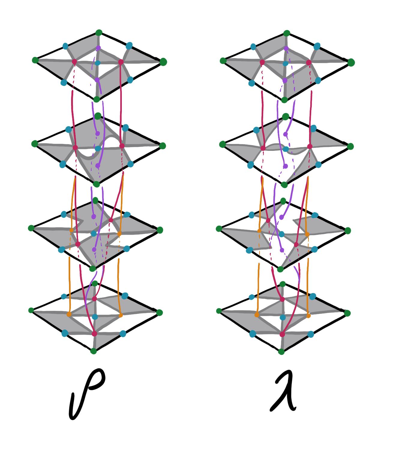 two homotopies through branched coverings